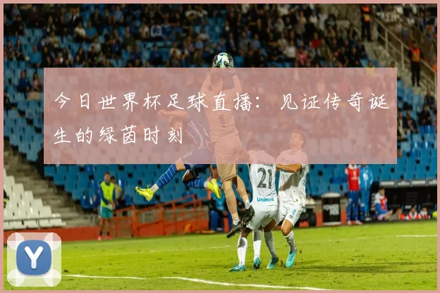 今日世界杯足球直播：见证传奇诞生的绿茵时刻