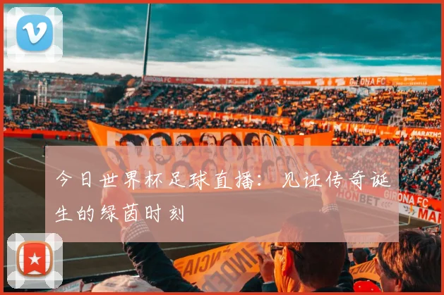 今日世界杯足球直播：见证传奇诞生的绿茵时刻