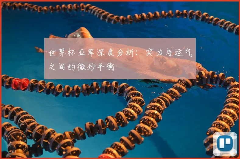 世界杯亚军深度分析:实力与运气之间的微妙平衡