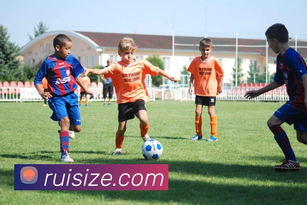 milan米兰官网入口APP 体育赛事宣传图